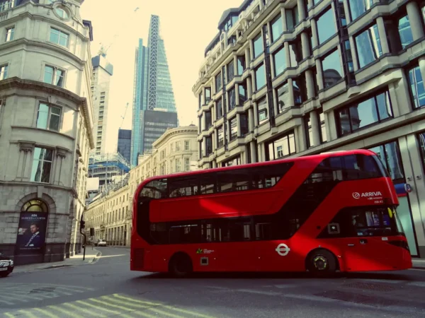 bus